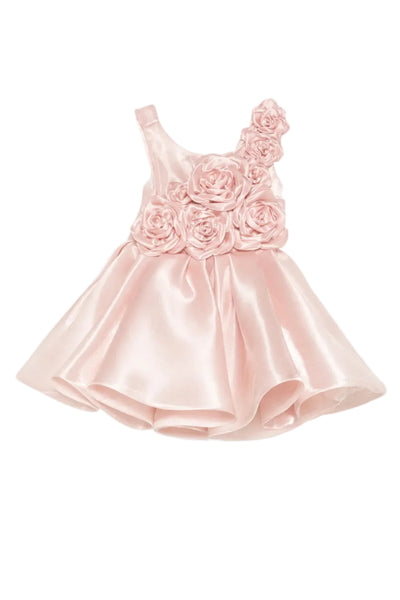 Pink Bustier Dress with Wide Straps and Applied Flowers