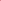 Giubbino red poppy